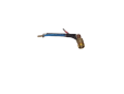 sp
